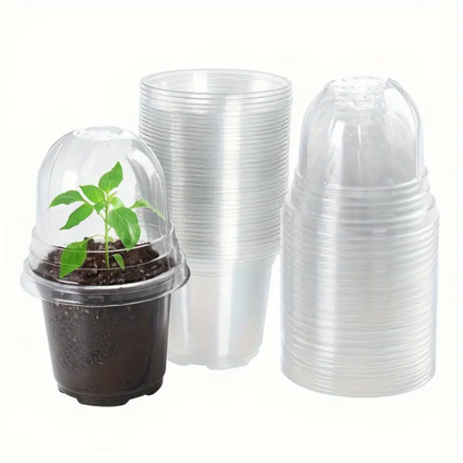 Plastic Propagation Pot w/ Moisture Dome