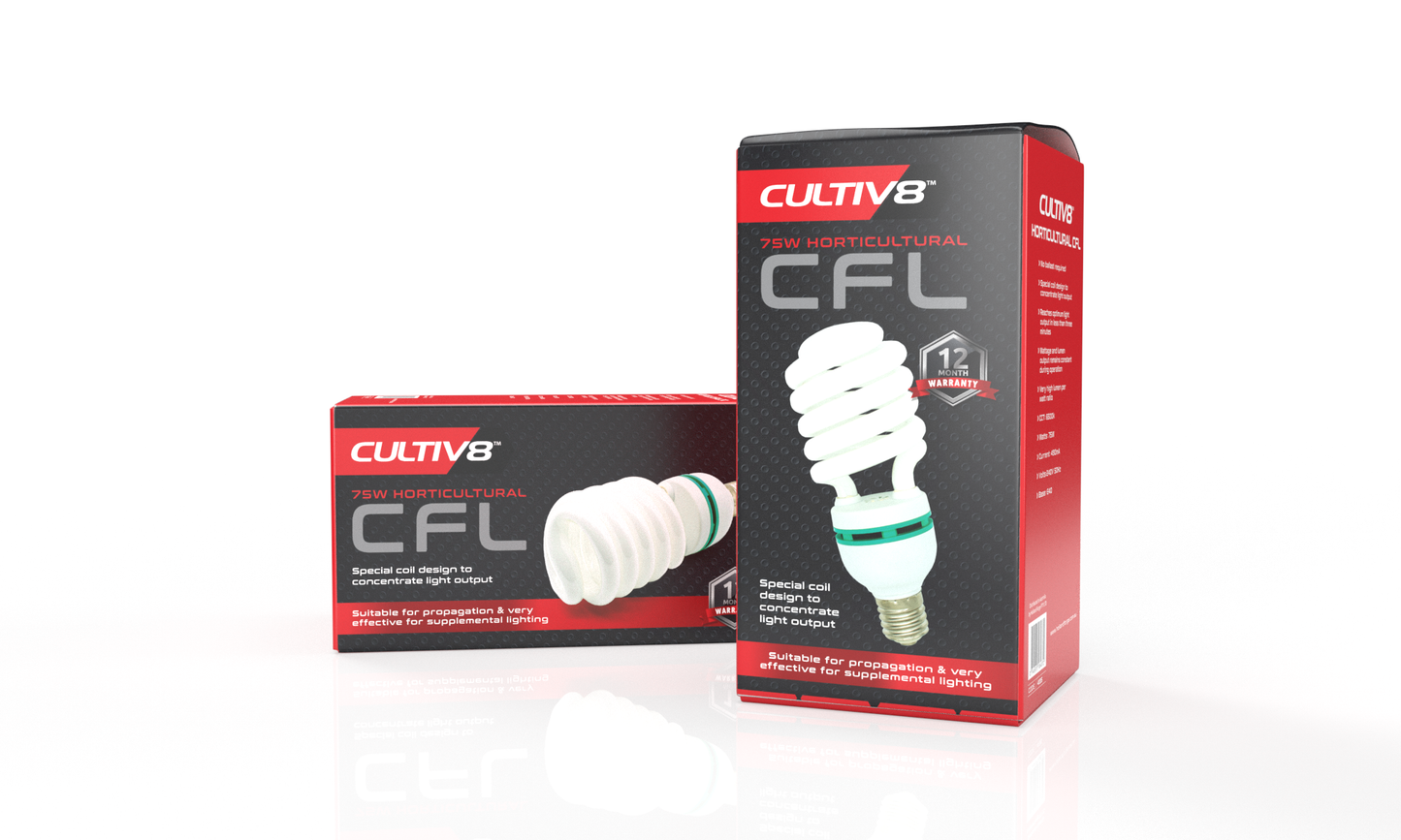 CFL LAMP - 75 watt - 6500K