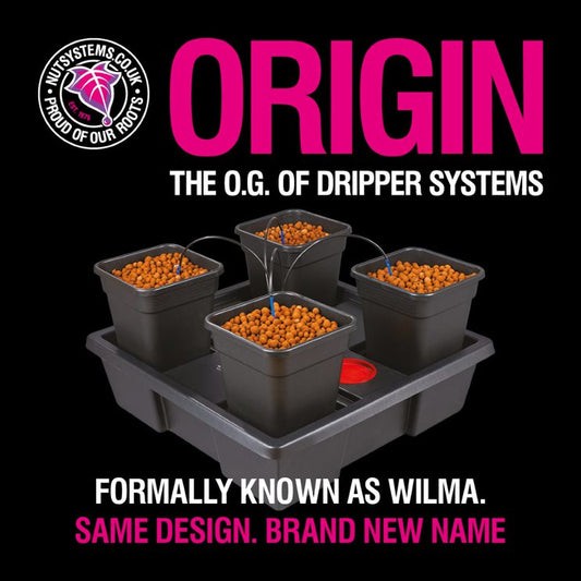 Origin L 4 (Wilma)