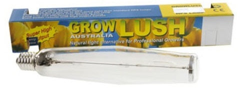 Growlush Lamp HPS 1000 watt