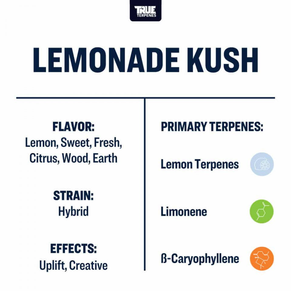 True Terpenes - Lemonade Kush