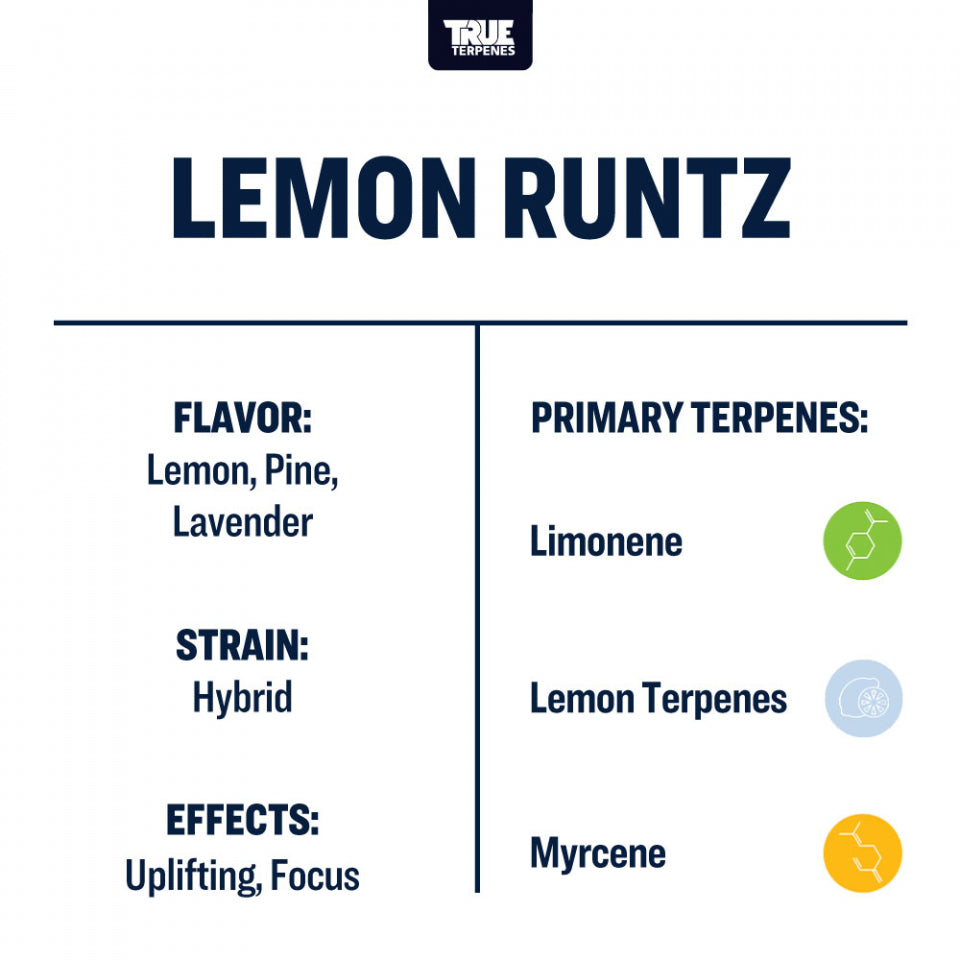 True Terpenes - Lemon Runtz