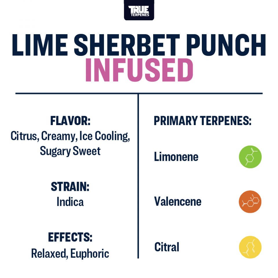 True Terpenes - Lime Sherbert Punch