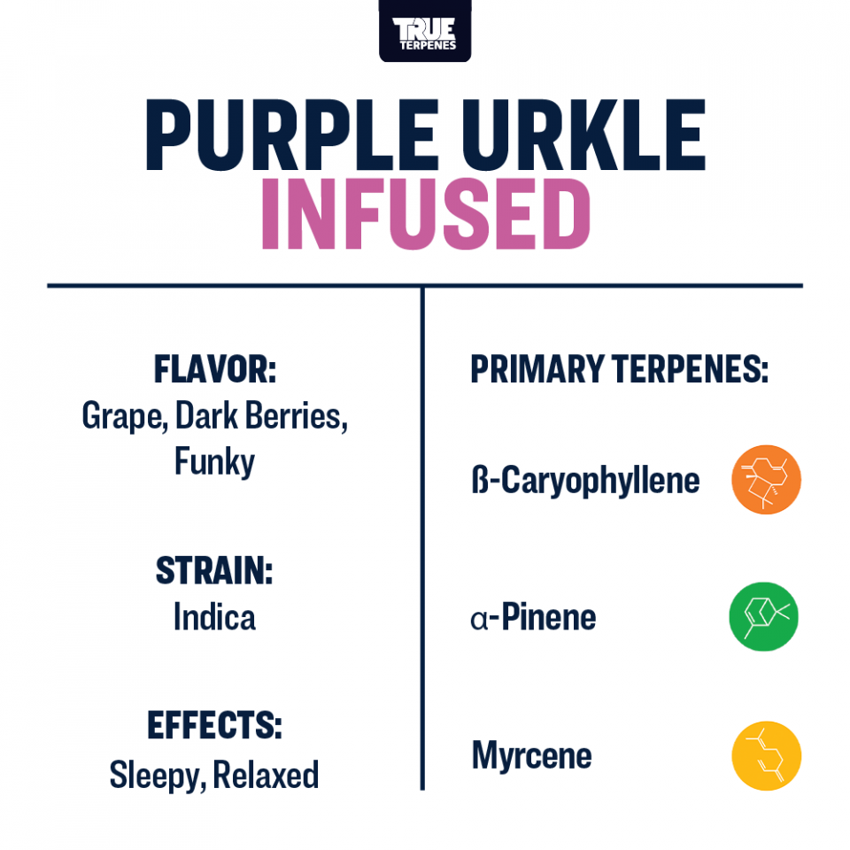 True Terpenes - Purple Urkle