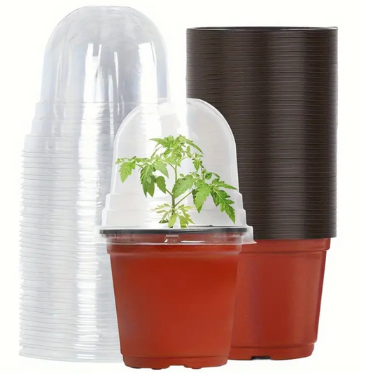 Plastic Propagation Pot w/ Moisture Dome (Brown)