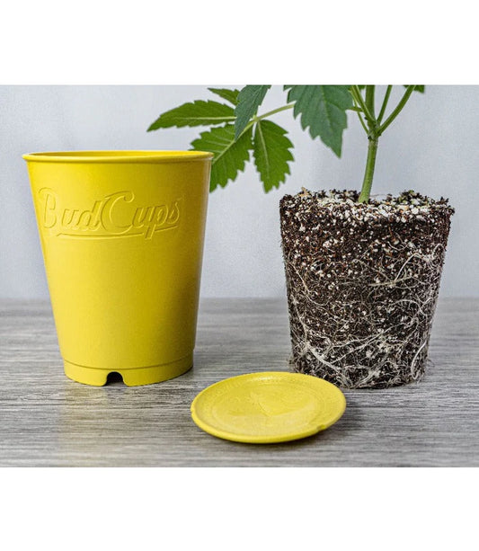 Bud Trainer Bud Cups