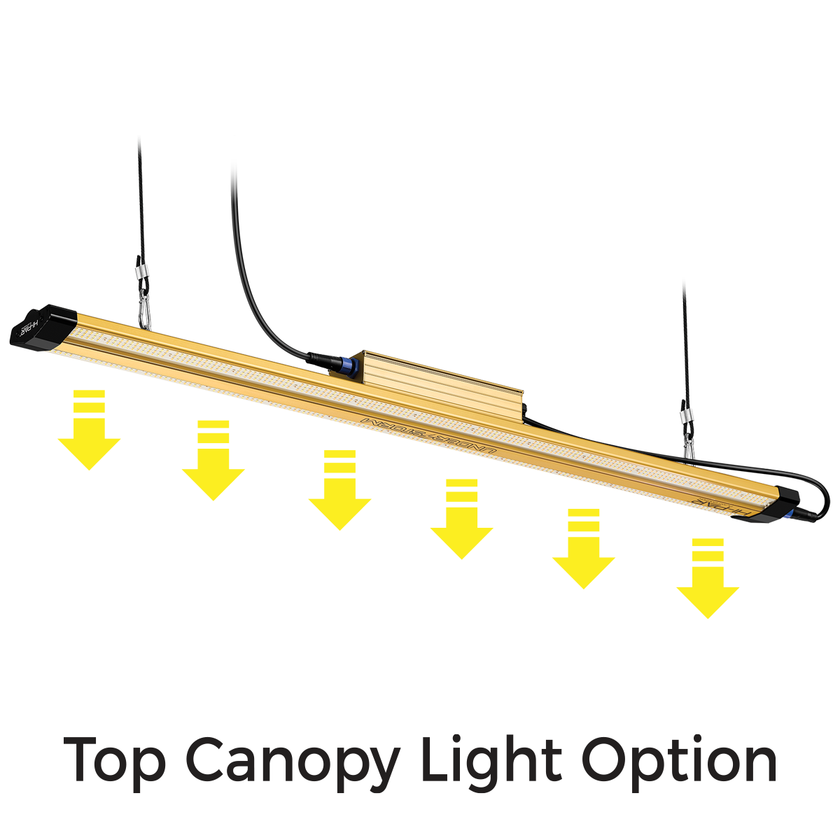 HI-PAR Understorm LED