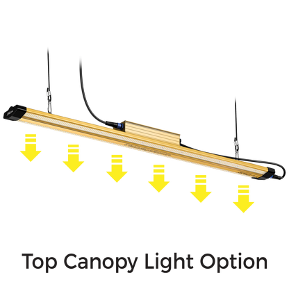 HI-PAR Understorm LED