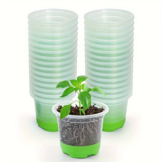 Green Plastic Silicone Bottom Propagation Pot