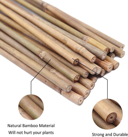 Bamboo Cane/Stake