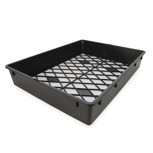 Large Tray - with Holes