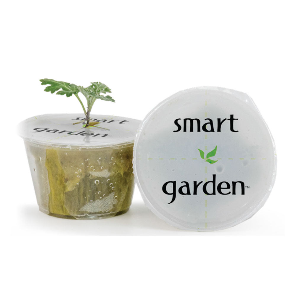 Smart Garden Propagation Clone Cup