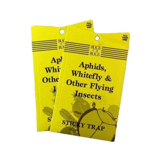 Yellow Sticky Insect Trap